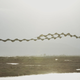 Greater flamingo, Ebro delta, Catalonia